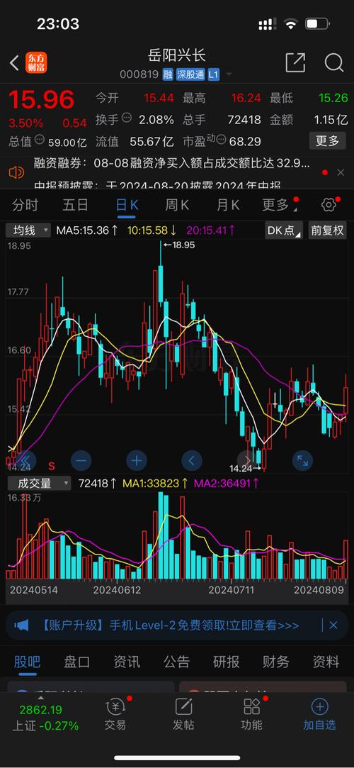 股票行情指南，深度解析600028股票走势与操作指南