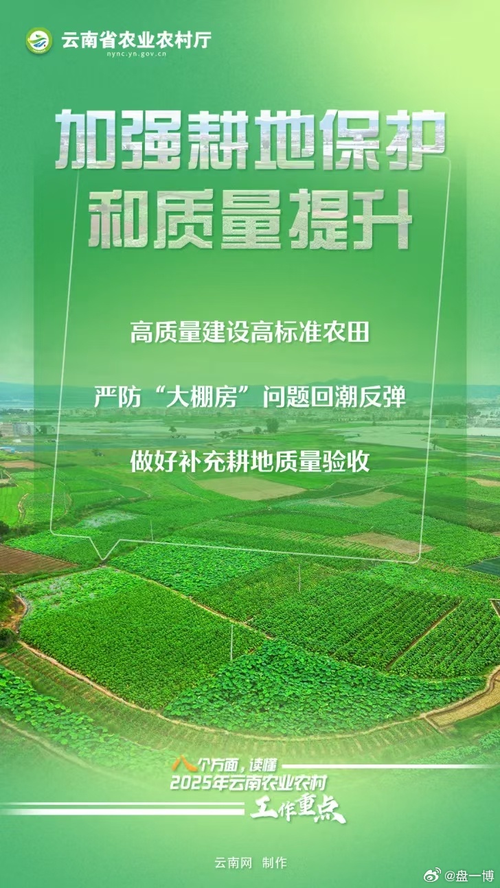 云南宏绿一号最新动态揭秘