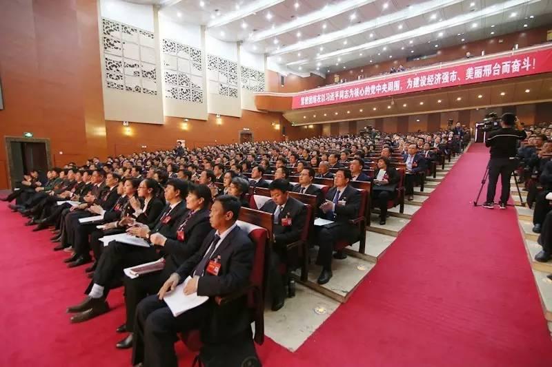 邢台张明杰最新动态更新，最新消息汇总